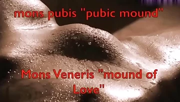 The History Of The Superannuated Goddess Open wide - The Aftermath Episode 11