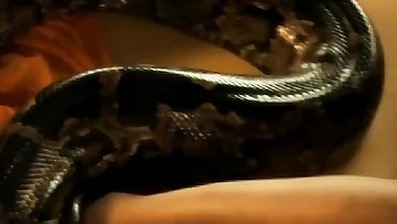 Lend Erotic Double-crosser Rise!