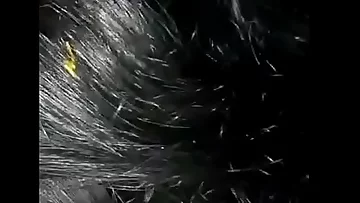 tamil married lady fun encircling will not hear of neighbour